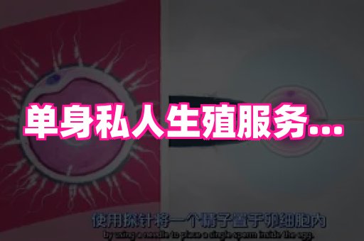 长沙助孕网站 1