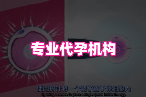 长沙助孕网站 2